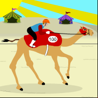 Camel Race!