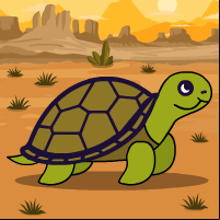 The Curious Tortoise!