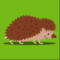 Hedgehog Race!