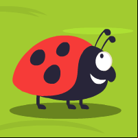 Ladybug Race!