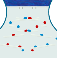 Bubble Timer