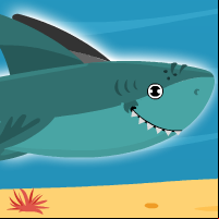 Shark Race!