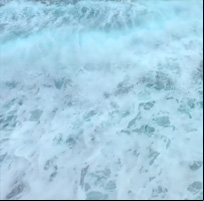 Sea Sounds
